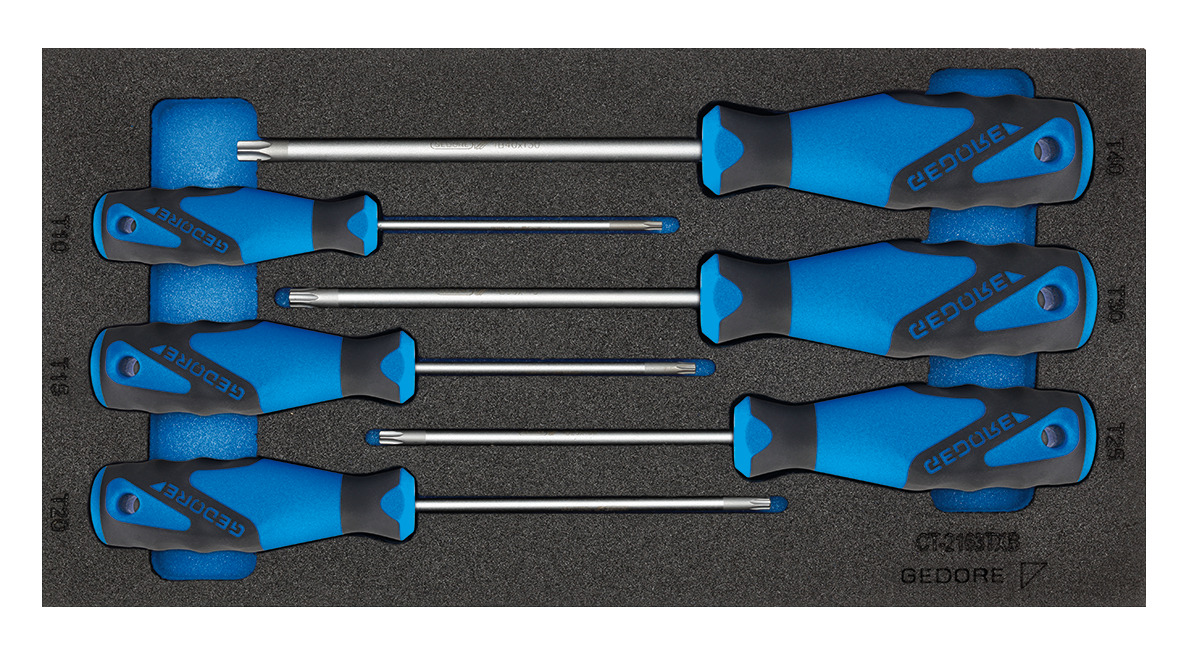 1500 CT1-2163 TX screwdriver set in 1/3 check tool module