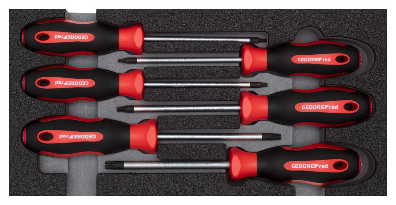 R22150015 Screwdriver set in 1/3 module 6 pieces